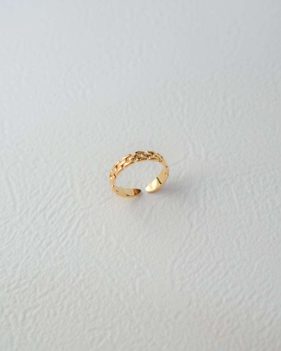Carlo Ring