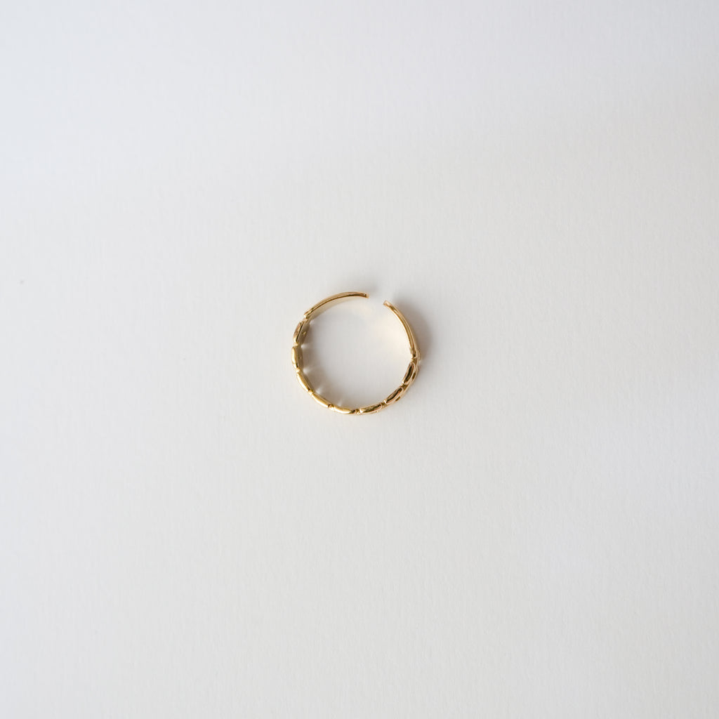 Carlo Ring